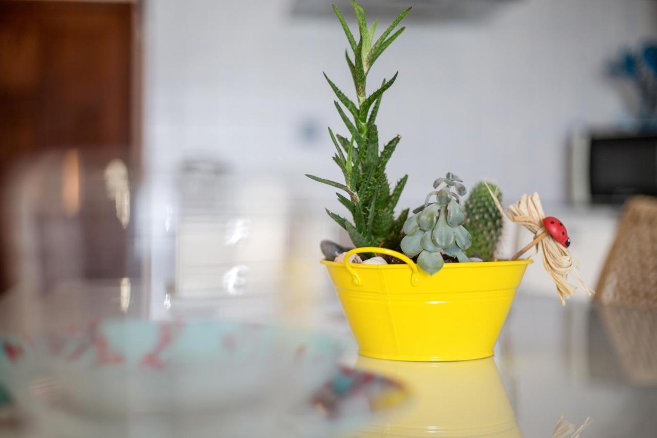 Apartamento Abuelo Miguel Cotillo Buitenkant foto